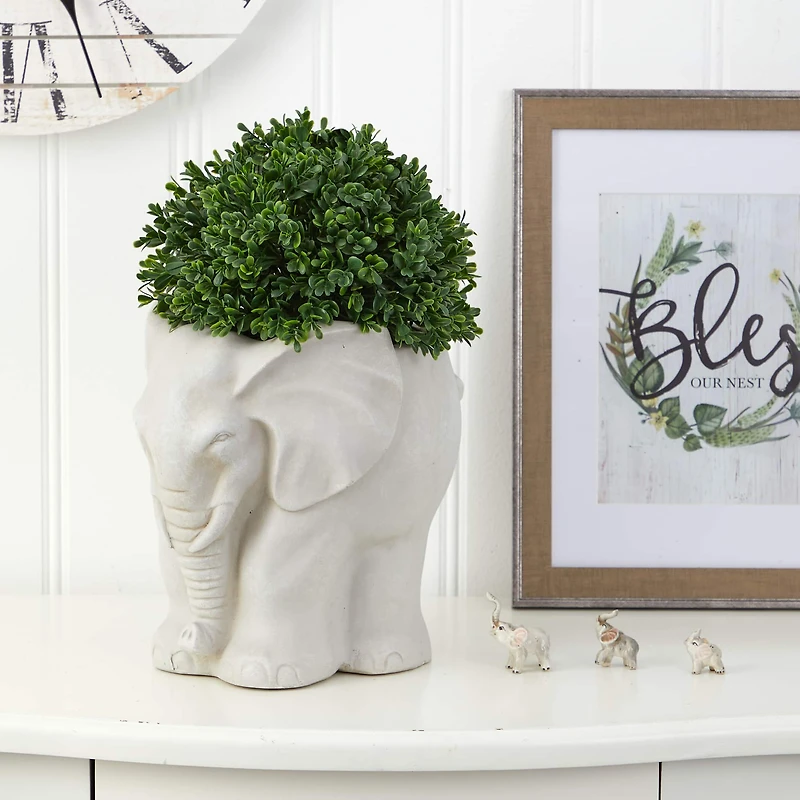 16" Boxwood Topiary Plant in Elephant Shaped Planter