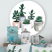 Designart - Cactus and Succulent House Plants VI