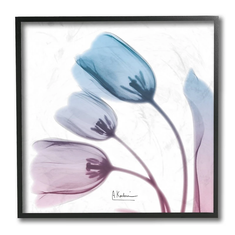 Stupell Industries Opaque Tulip Silhouette Blue Pink Photograph, 12" x 12"
