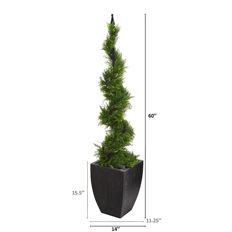 5ft. Cypress Spiral Topiary Tree in Black Planter