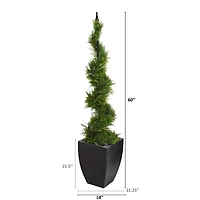 5ft. Cypress Spiral Topiary Tree in Black Planter
