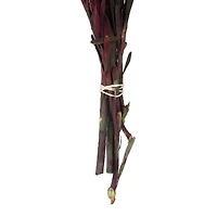 Preserved 8-Head Merlot Plumosum Bundle