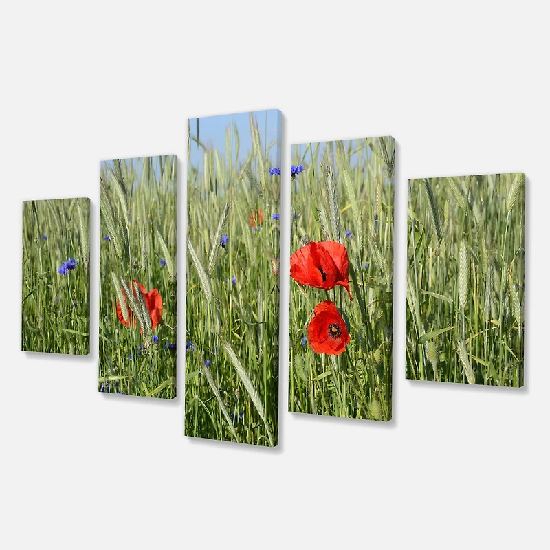 Designart - Rural Landscape with Red Poppies