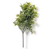11" Boxwood Pick by Ashland®