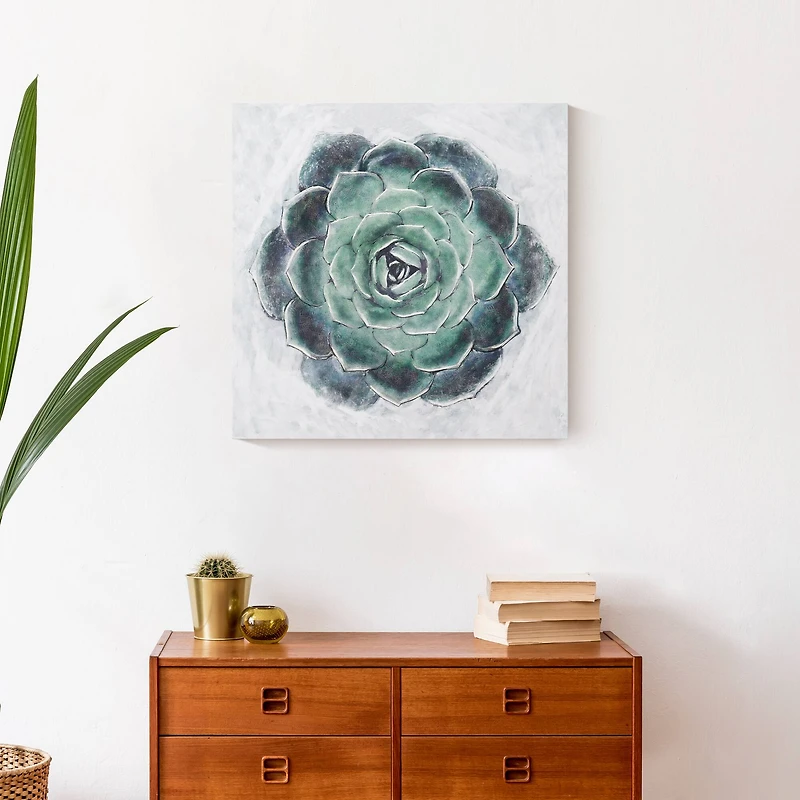 Round Succulent 20" x 20" Canvas Wall Art