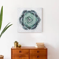 Round Succulent 20" x 20" Canvas Wall Art