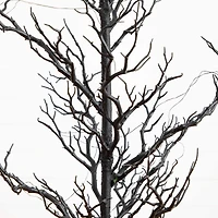 5ft. Pre-Lit Artificial Halloween Black Spooky Twig Tree with 200 Orange & Purple Copper Wire String LED Lights