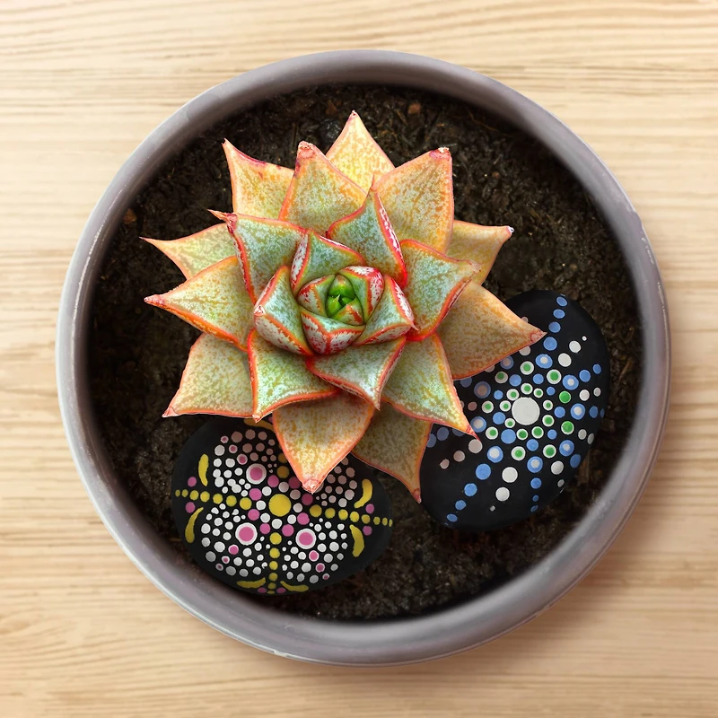 ArtSkills® Rock Painting Kit for Kids