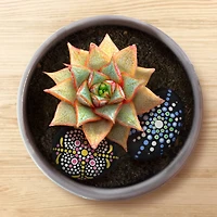 ArtSkills® Rock Painting Kit for Kids