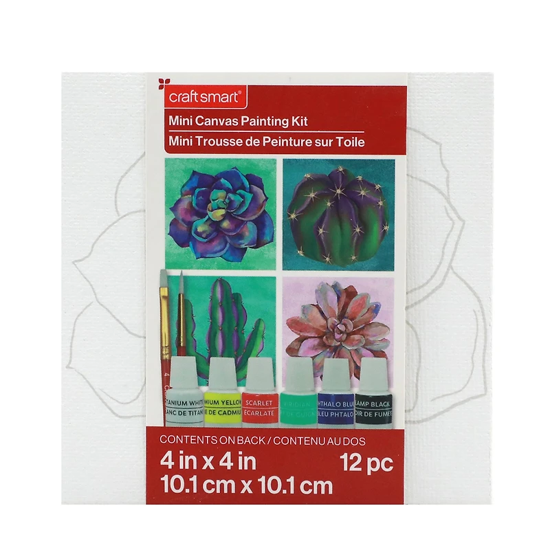 Cactus Mini Canvas Painting Kit by Craft Smart®