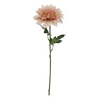 25" Cream Dahlia Real Touch Stem by Ashland®
