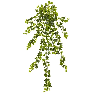 Ivy Hanging Plant, 4ct.
