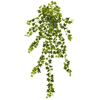Ivy Hanging Plant, 4ct.