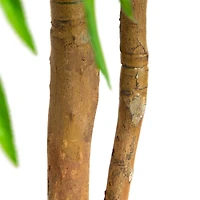 5ft. Real Touch Potted Willow Tree