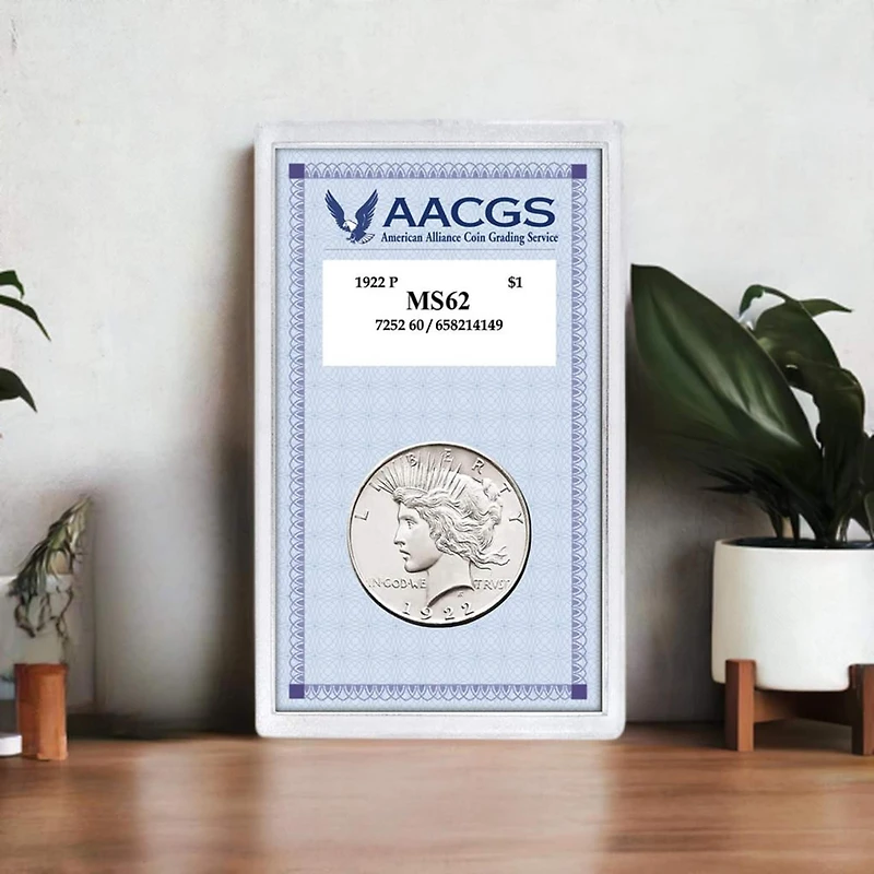 1922 Peace Silver Dollar Graded MS62