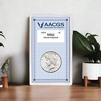 1922 Peace Silver Dollar Graded MS62