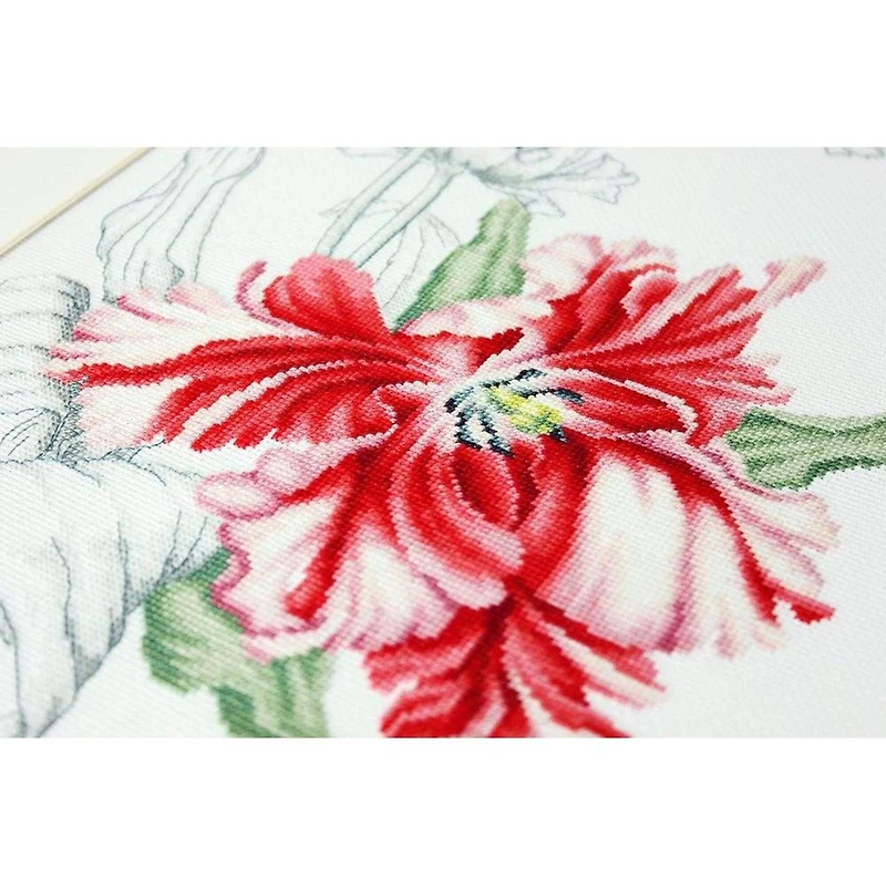 Luca-s Tulips Counted Cross Stitch Kit