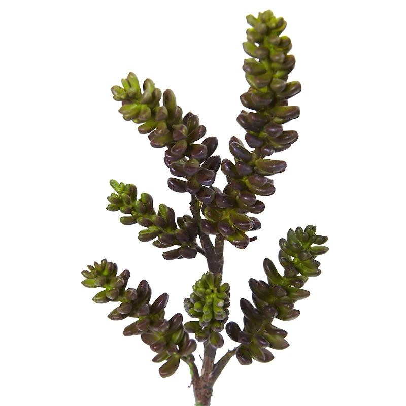 Green Succulent Stem, 12ct.