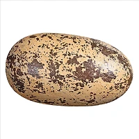 Design Toscano 12" Early Jurassic Theropoda Dino Egg Fossil Statue