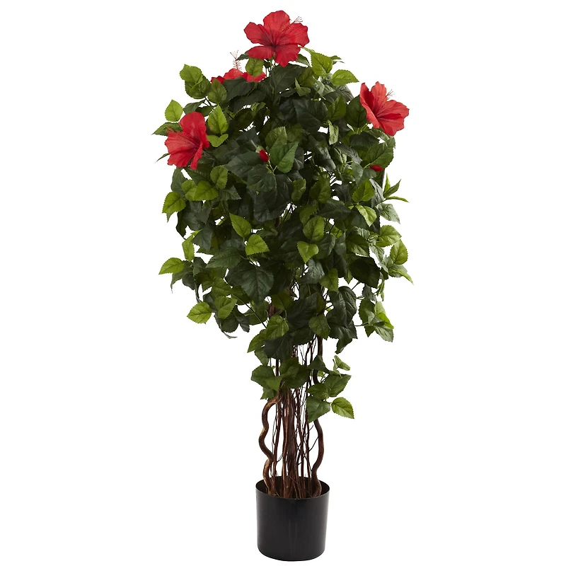 4ft. Potted Red & Green Hibiscus Tree