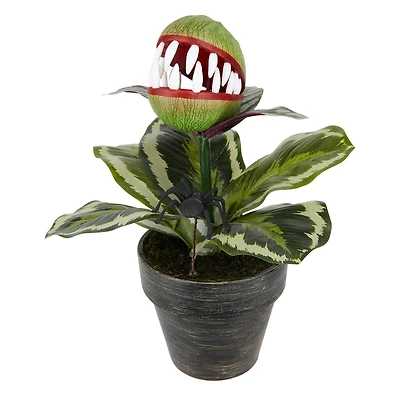 14" Venus Flytrap in Rustic Black Pot by Ashland®