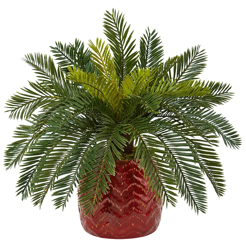 15'' Cycas Palm in Red Ceramic Planter