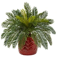 15'' Cycas Palm in Red Ceramic Planter