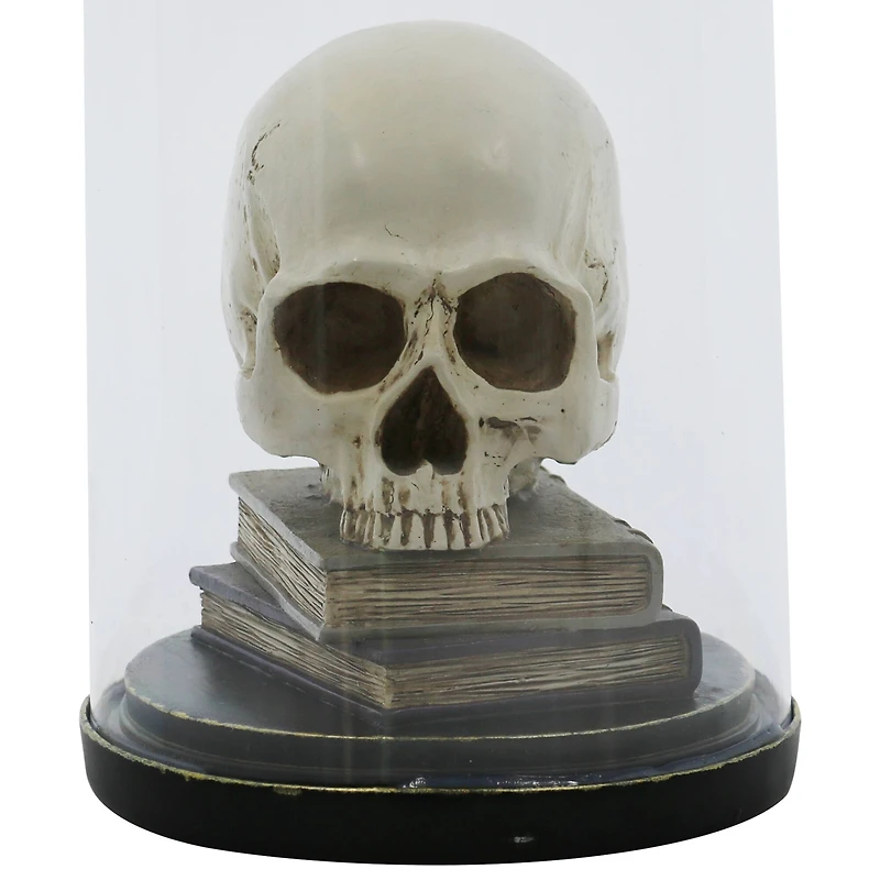 9.5" Skull on Books Cloche Tabletop Décor by Ashland®