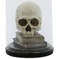 9.5" Skull on Books Cloche Tabletop Décor by Ashland®