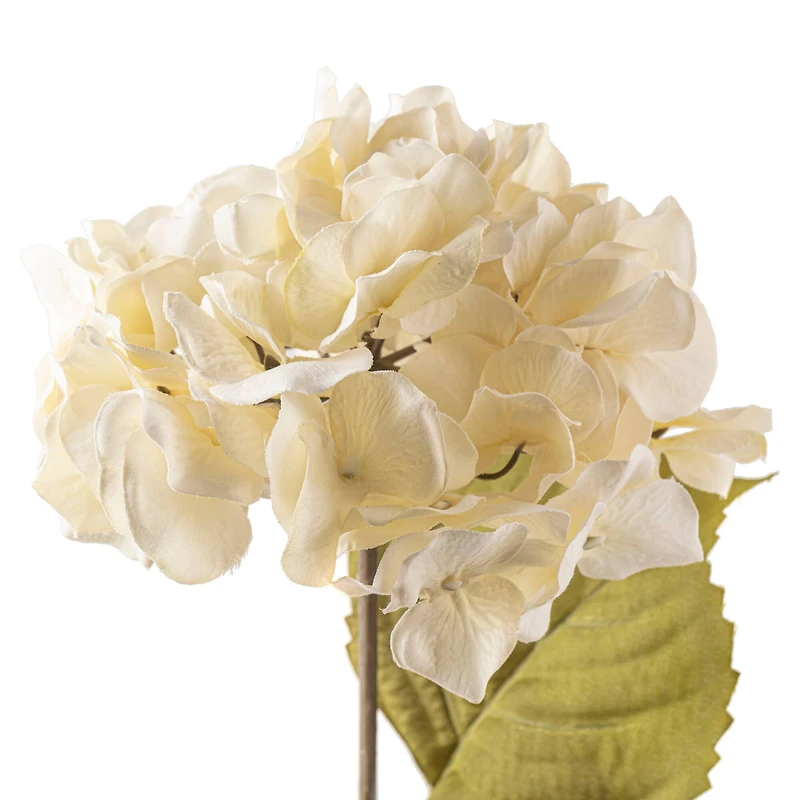 Cream Hydrangea Stem by Ashland®