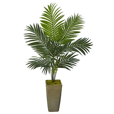 4.2ft. Kentia Palm Tree in Green Planter