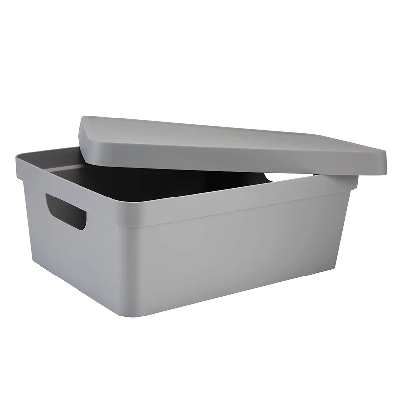 Simplify 14.5" Vinto Storage Box with Lid