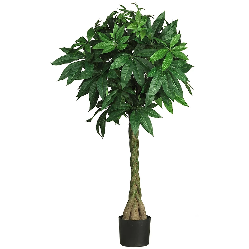 4ft. Potted Braided Money Tree