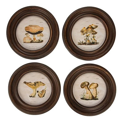 Hello Honey® 9.5" Round Framed Mushroom Print Wall Art Set