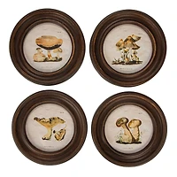 Hello Honey® 9.5" Round Framed Mushroom Print Wall Art Set