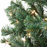 6ft. Pre-Lit Acacia Artificial Christmas Tree, Clear Lights