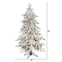 5ft. Pre-Lit Flocked Grand Northern Rocky Fir Artificial Christmas Tree, Warm White Micro LED Lights