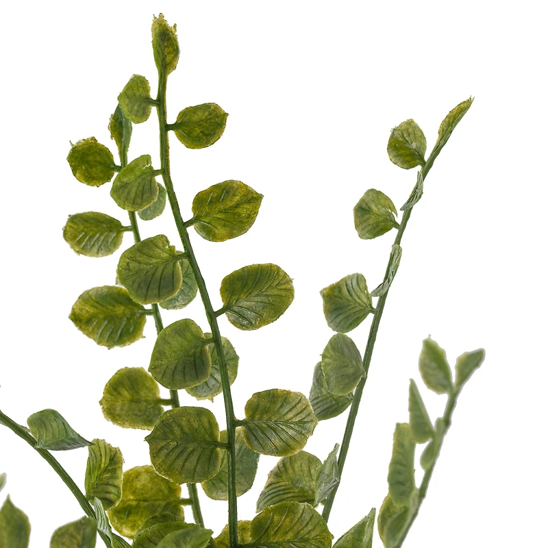 Assorted 11" Fern Pick by Ashland®, 1pc.