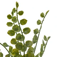 Assorted 11" Fern Pick by Ashland®, 1pc.