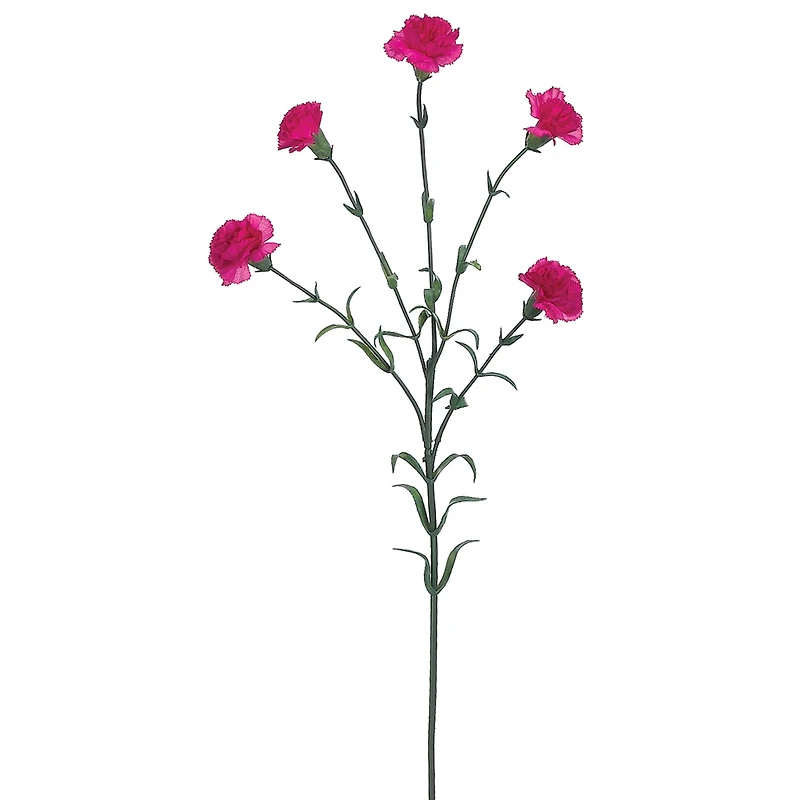 Mini Fuchsia Carnation Spray 