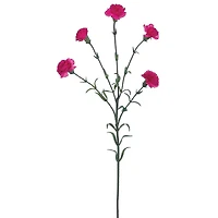 Mini Fuchsia Carnation Spray 