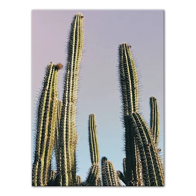 Tall Cactus 12" x 16" Canvas Wall Art