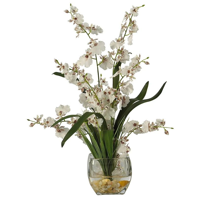 19" White Dancing Lady Orchid Arrangement in Vase