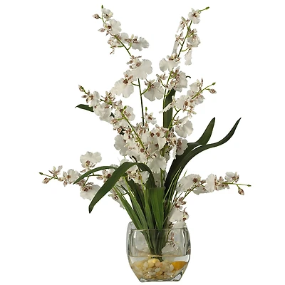 19" White Dancing Lady Orchid Arrangement in Vase