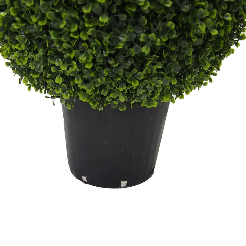 3ft. Potted Boxwood Teardrop Shaped Bush