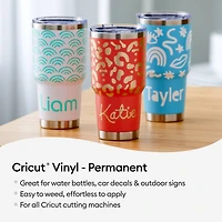 Cricut® Permanent Vinyl, Ultimate Sampler