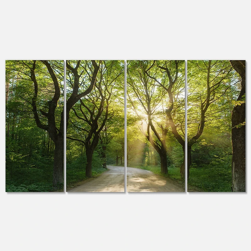 Designart - Evening in Green Forest