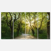 Designart - Evening in Green Forest