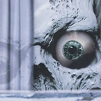 46" Scary Skeleton Window Cover Halloween Decoration