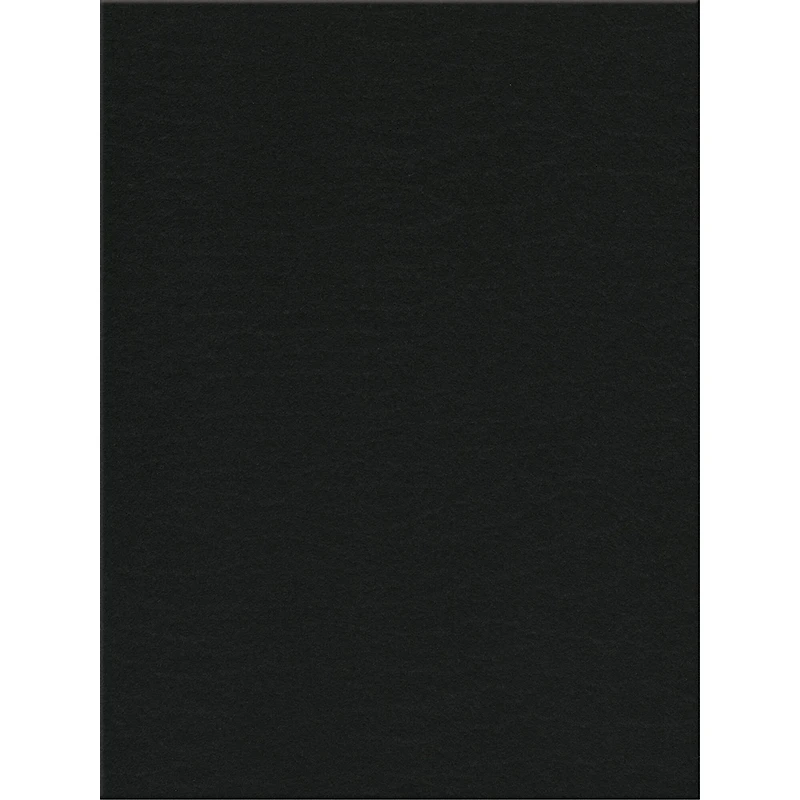 Kunin 9" x 12" Eco-Fi Plus Premium Felt Sheet